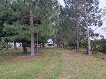 Campo · 91770000ha · 9000ha en Santa Rosa, Corrientes