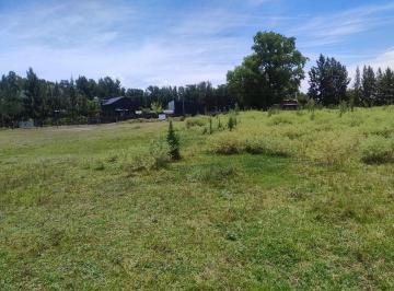 Terreno · 791m² · Venta Lote 791 m² - Ruta 2 Km 51 - Brandsen