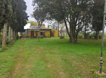GNP-GNP-1028_2 · Chacra en Venta 3ha