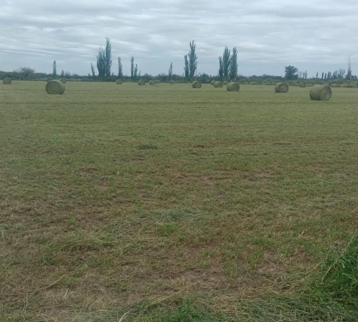 0 y 23 0, Bowen, Mendoza