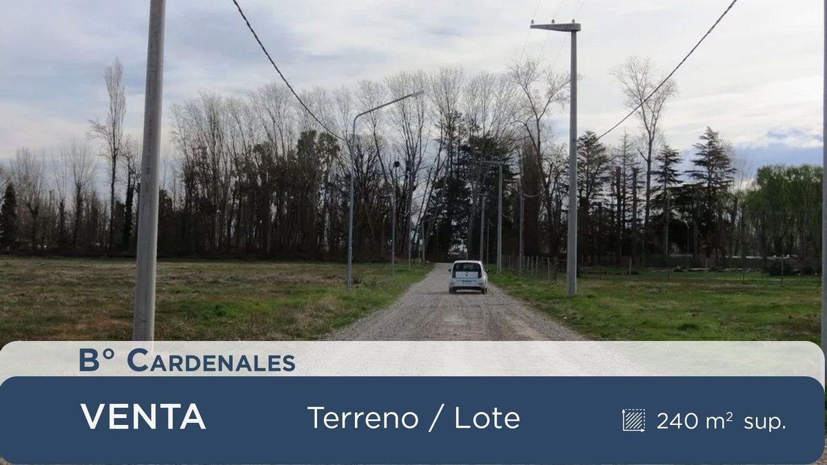 Obrero Argentino 1100, Neuquén, Neuquén