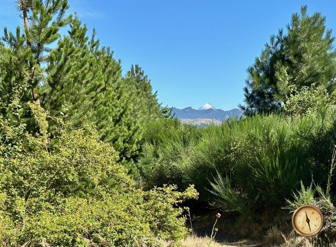 Lote de 888 m2 en El Remanso, El Desafío, San Martín de los Andes