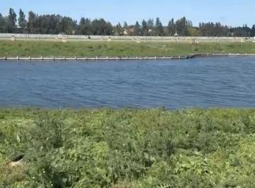 Terreno , Tigre · Terreno Lote en Venta en Silvestre, Nordelta, Tigre