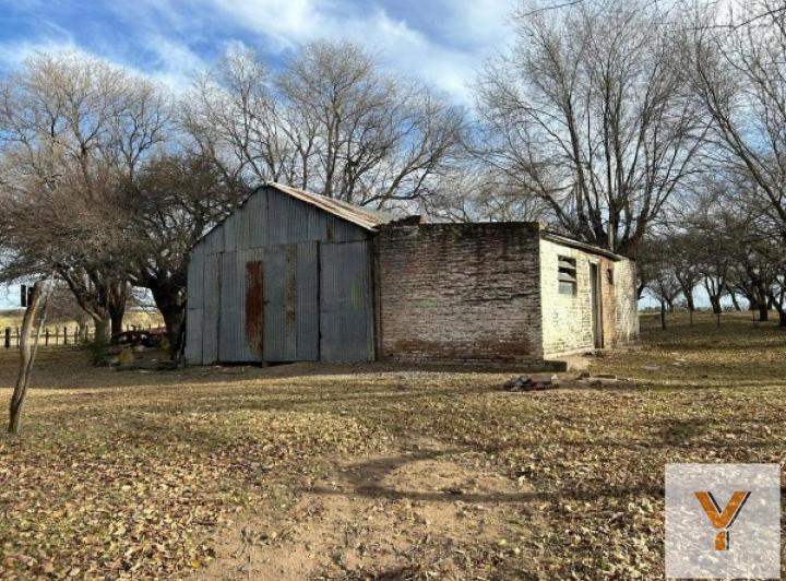 Campo · 10000000m²