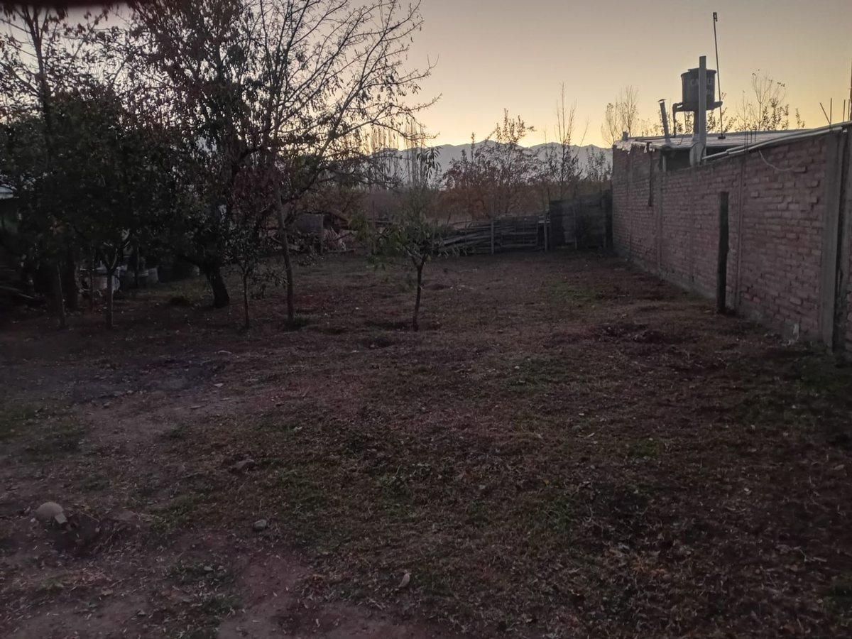 Sergio Cejas S/N, Vista Flores, Mendoza