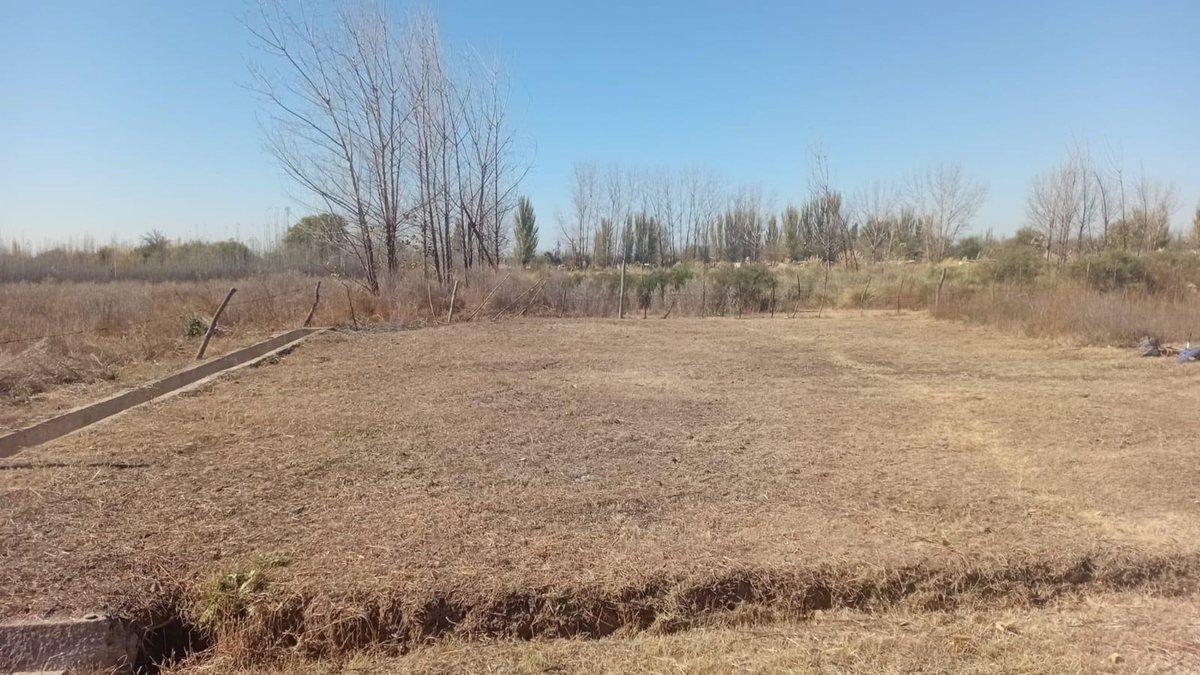 Los Nogales S/N, Colonia Las Rosas, Mendoza