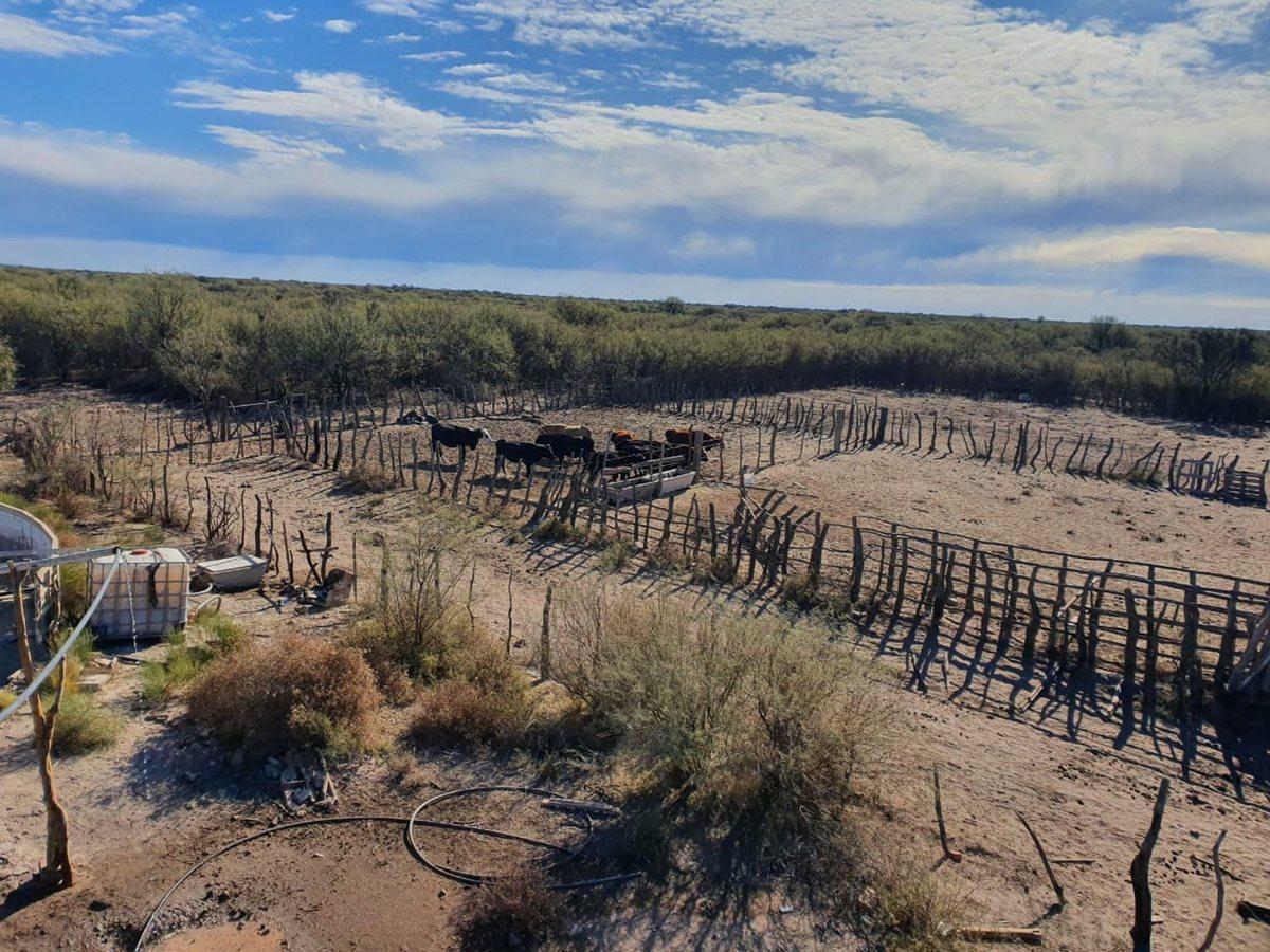 Ruta 190 S/N,  General Alvear, Mendoza