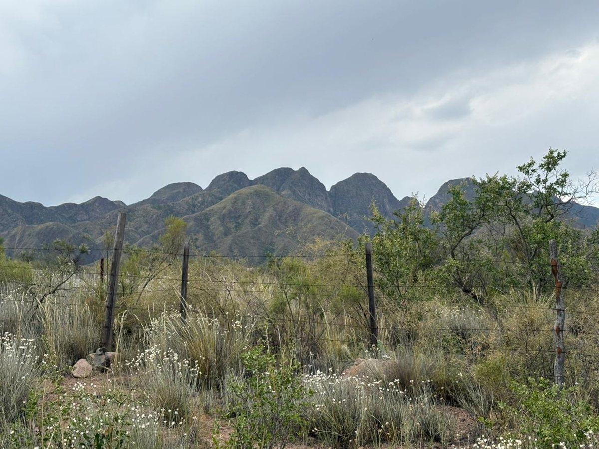 Ruta Panamericana S/N,  Luján de Cuyo, Mendoza