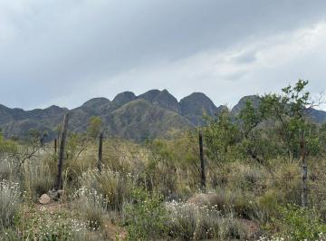 Terreno · 5000m² · Venta de Terreno 5000 m² Zona del Rincon Suizo