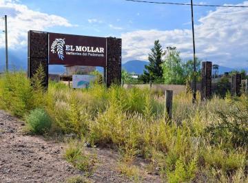 Terreno · 1000m² · Venta Lote con Pileta y Cisterna B° El Mollar