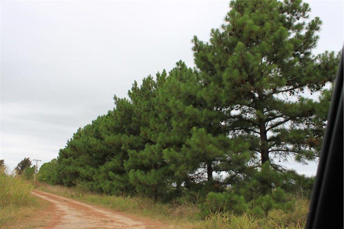Ruta 4, Km 5,2 0,  La Reserva Cardales, Campana