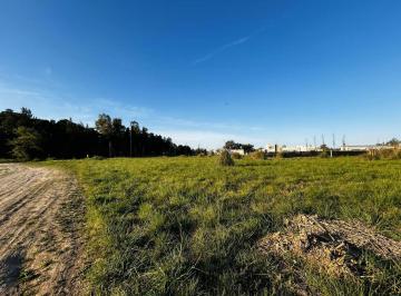 Terreno · 3259m² · Venta - Terreno Barrio del Vinelli - Lobos