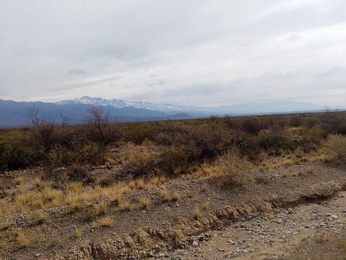 Ruta Provincial N°101 S/n S/N, Pareditas, Mendoza