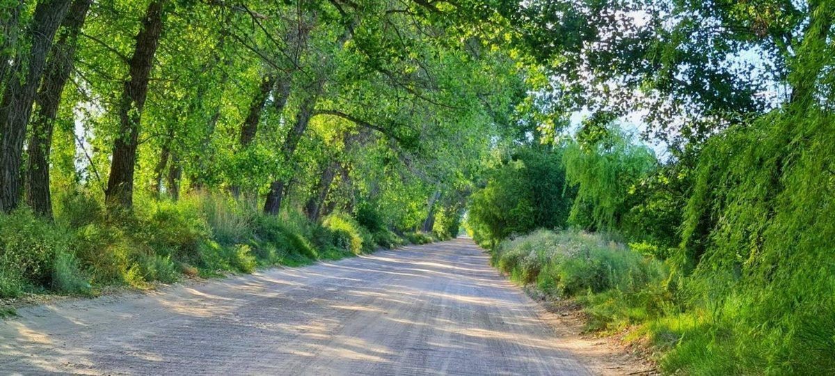 Las Virgenes 0, Las Paredes, Mendoza