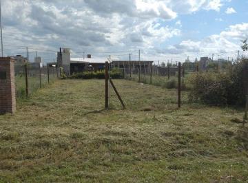 Terreno · 300m² · Venta Ecovida, L 139, m 8 V. Amelia