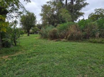 Terreno · 59665m² · Alquiler Complejo y Terreno + Galpon Industrial