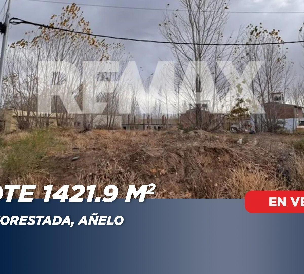Tantalia 1000,  Añelo, Neuquén