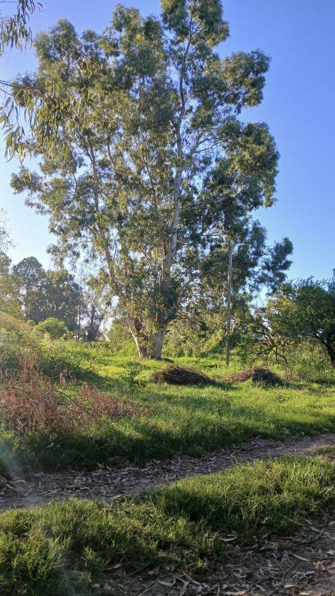 Calle 6 S/N,  Arroyo Leyes, Santa Fe