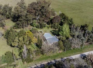 Campo · 114ha · Venta de Campo en Veronica