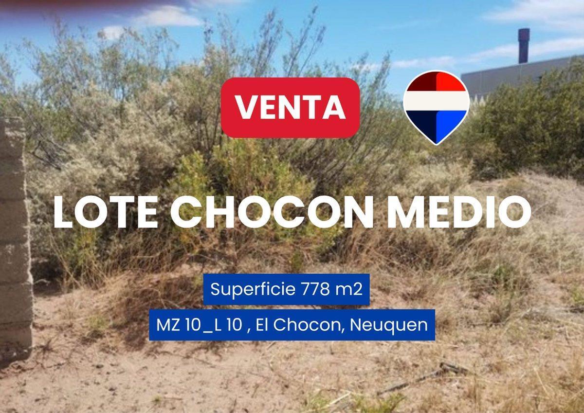 Chocon Medio, Manzana C, Lote 10 S/N,  Picún Leufú, Neuquén
