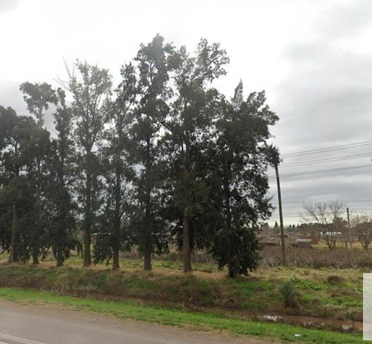 517 e/ 235 y 236, Abasto, La Plata