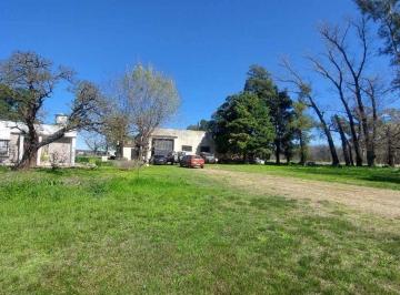 Campo · 400ha · Venta Campo Mejoras Oportunidad Acceso Oeste Luján
