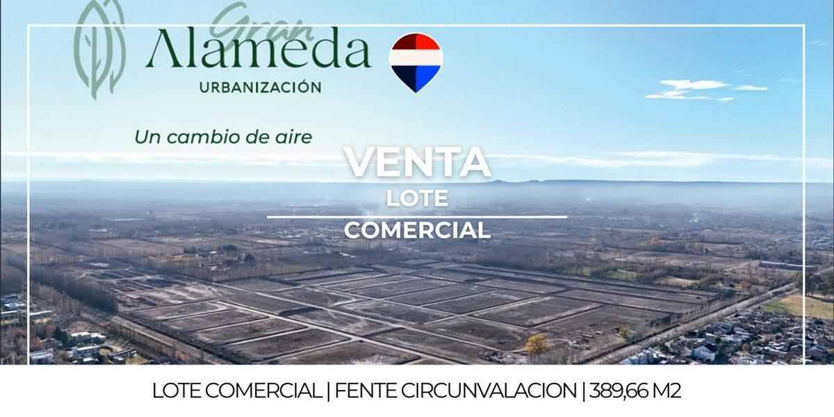 Calle Desconocida S/N, Cipolletti, Río Negro