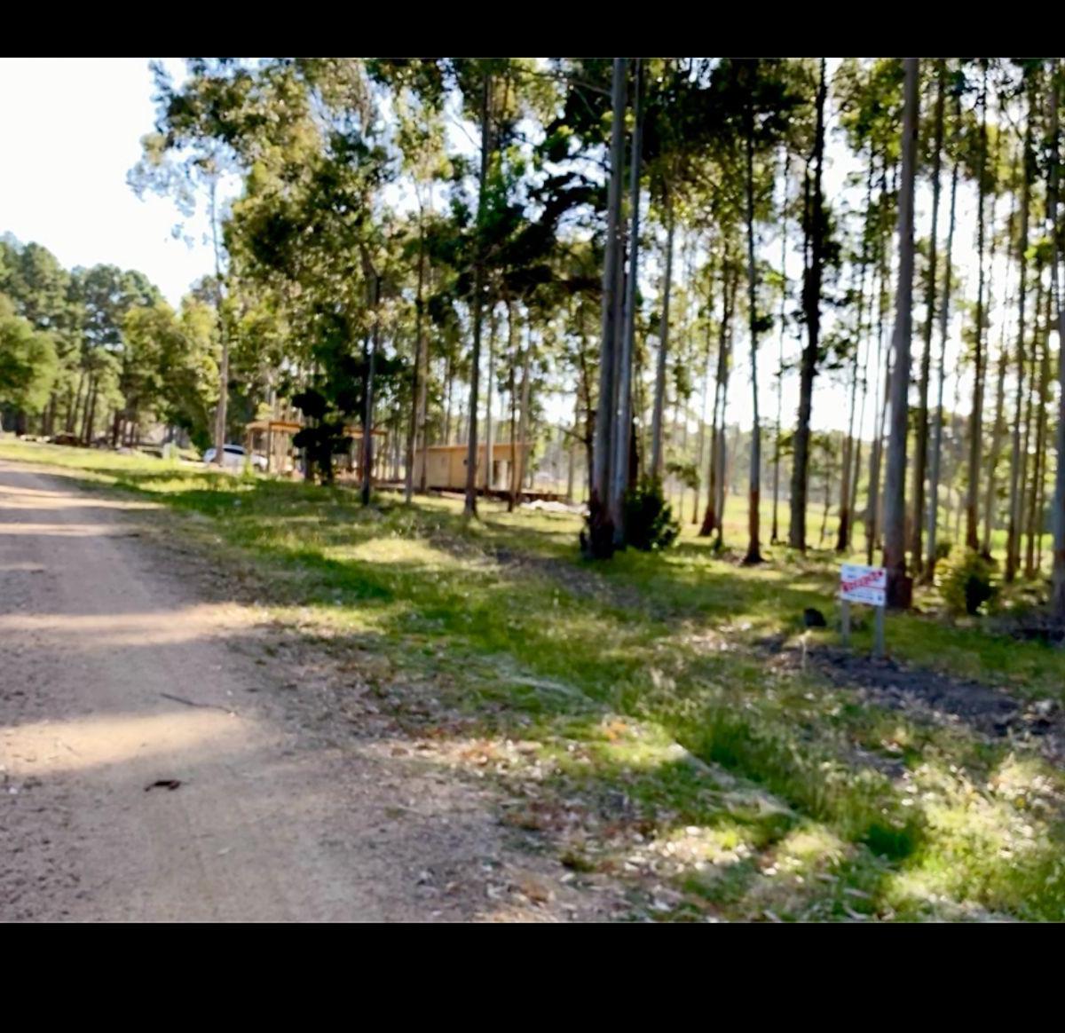 Avenida Antonio Lussich 0, Punta Ballena, Maldonado