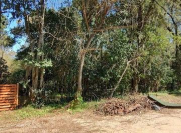Terreno · 300m² · Lotes Excelente Oportunidad Para Invertir