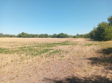 Campo · 16ha · Venta Campo 16 Ha Zona Pilar