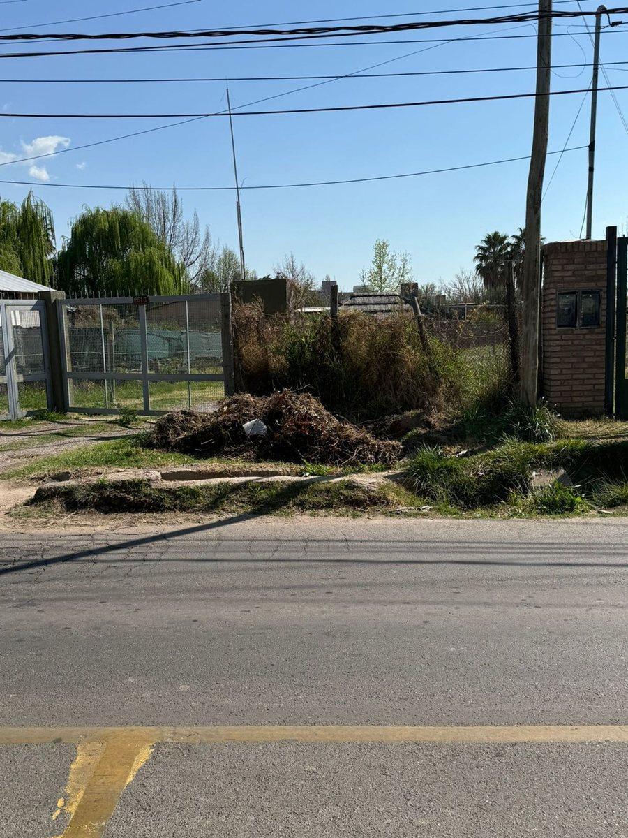 Calle Pincolini S/N, Vistalba, Mendoza