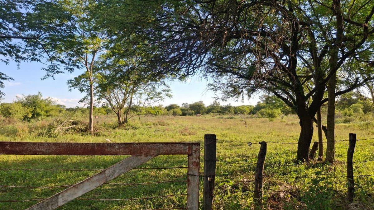 Calle Desconocida  S/N,  Goya, Corrientes