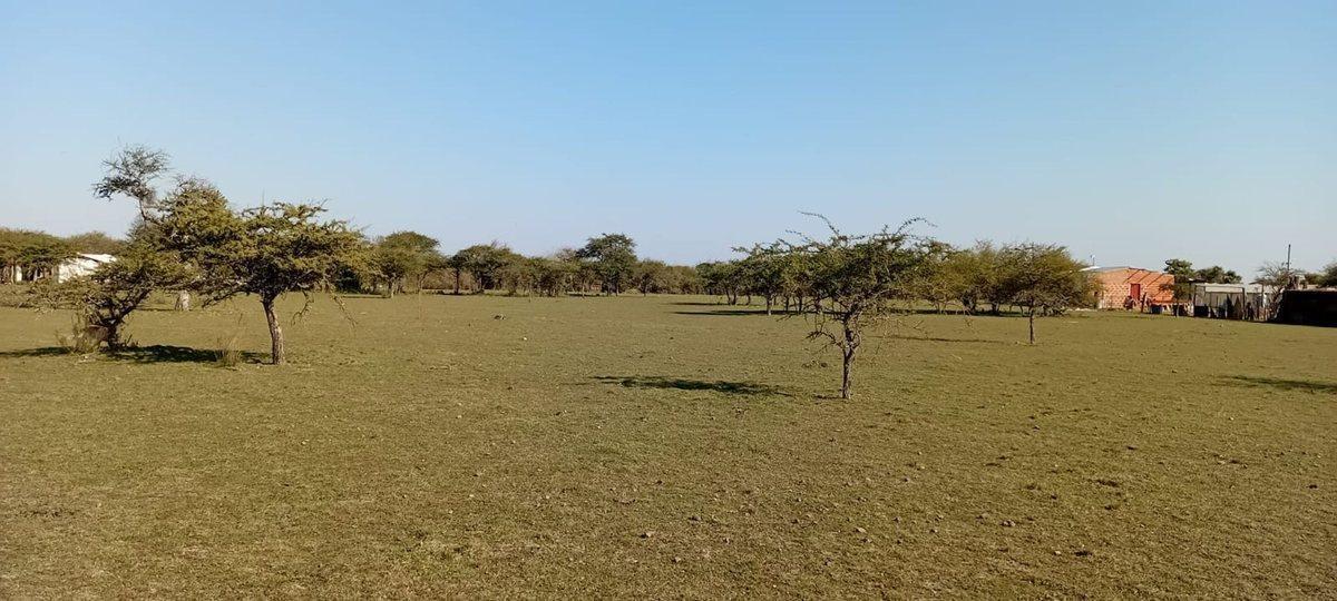 Paraje Saladero 0,  Mercedes, Corrientes
