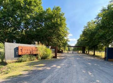 Terreno · 1360m² · Lote en Tessalia - Tierra de Centauros Financiado