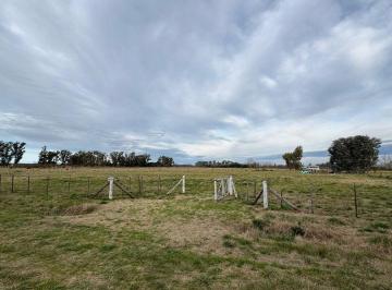 Terreno · 10055m² · Hectarea - Estancia La Mora/luz - Permuta en Mercedes!