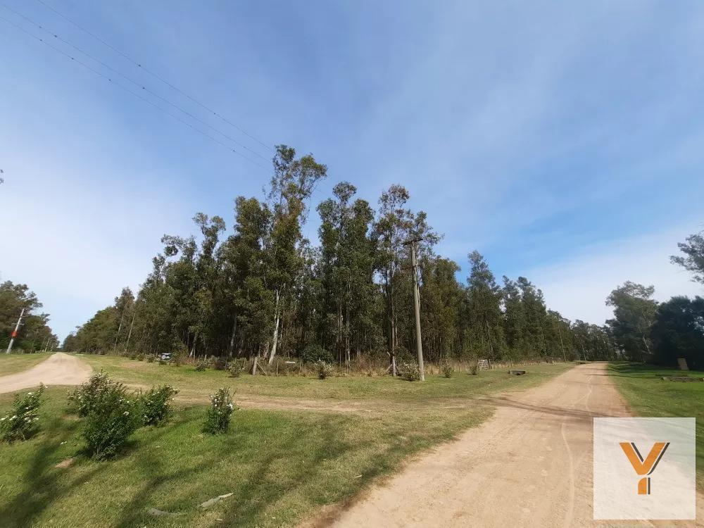 Estancia Estrella Federal, El Paraíso, Ramallo