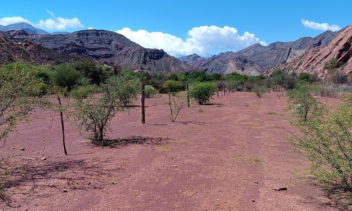 Ruta Nacional 68 - KM 66, Guachipas, Salta