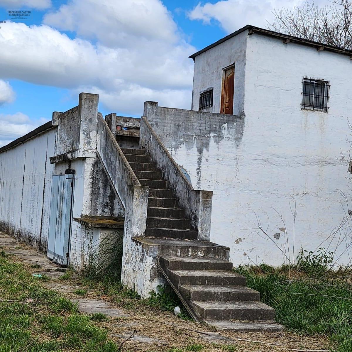 Almafuerte al 2000, Carlos Spegazzini, Ezeiza