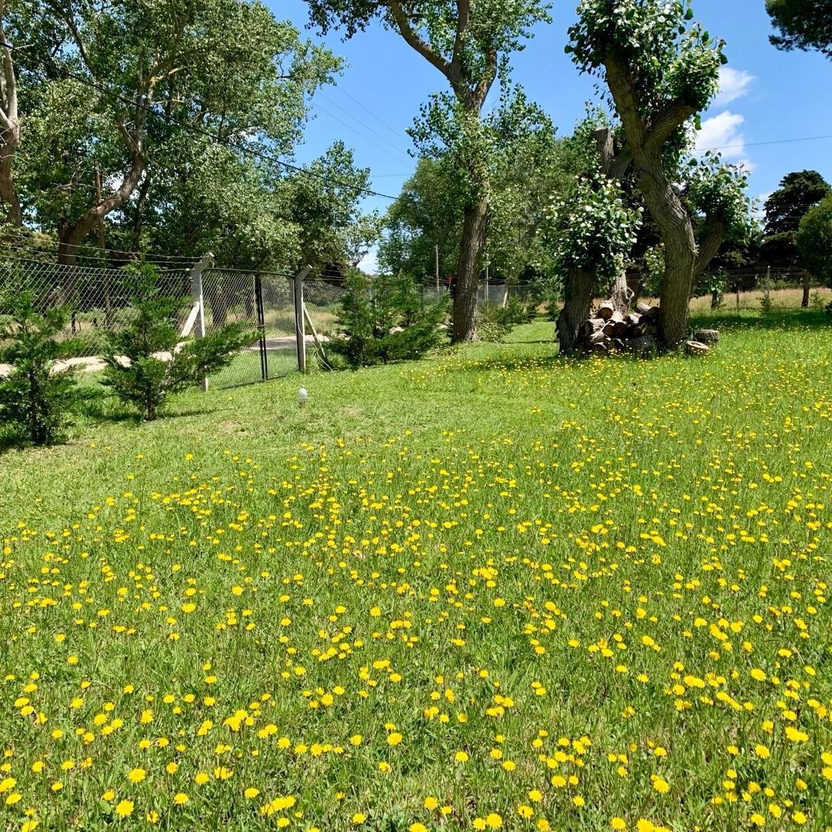 Paraguay al 1200, Miramar, Buenos Aires Costa Atlántica
