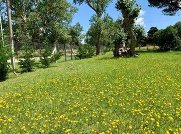 Terreno · 300m² · Terreno - Miramar