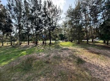 Terreno , Uruguay · Venta de Lotes en Punta del Este