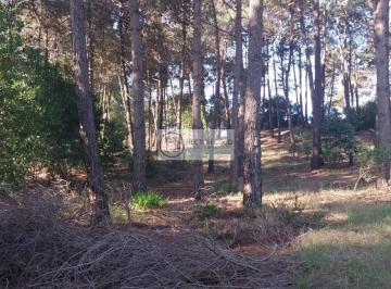 Terreno · 1337m² · Venta de Terreno Pinamar