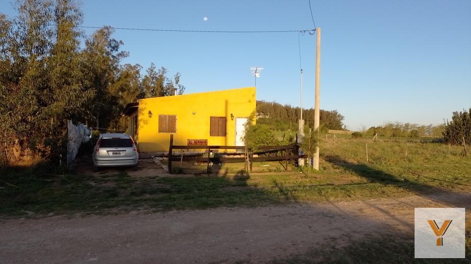 25 e/ 12 y 14
