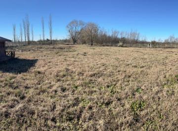 Terreno · 3150m² · Terreno en Venta - 3150 m² - Exaltación de La Cruz