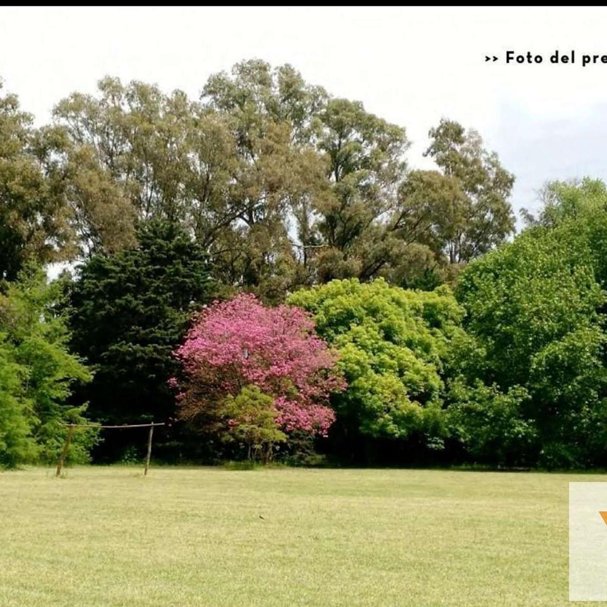 La Estela, La Estela, Pilar