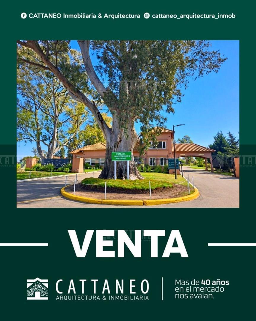 San Vicente 400,  San Lucas, San Vicente