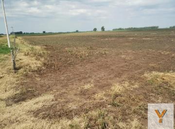 Campo · 4500000ha · Campo en Venta - 450 Hectáreas - Espigas