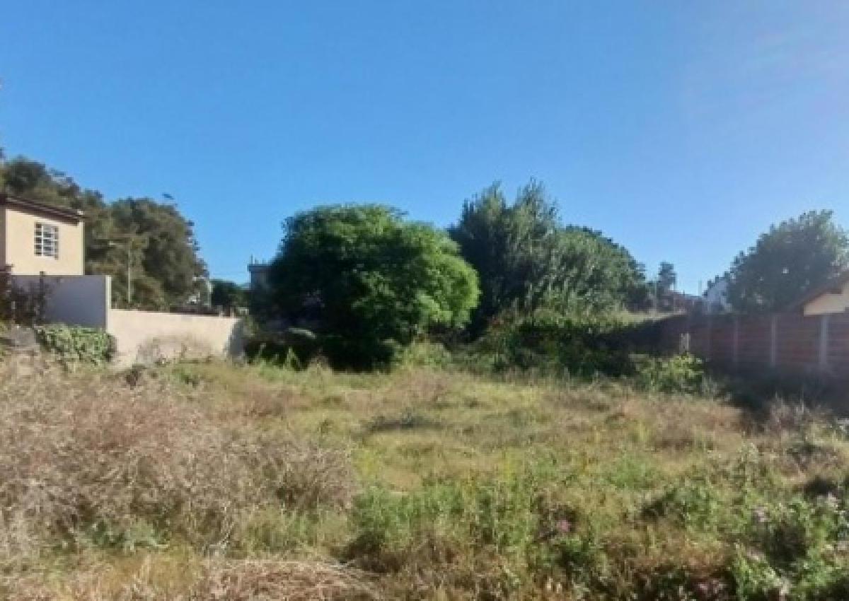 Paseo 110 e/ Avenida 12 y Avenida 13, Villa Gesell, Buenos Aires Costa Atlántica