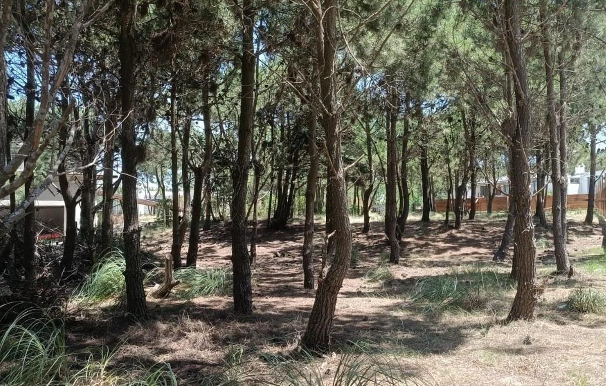 Marítimo IV - Costa Esmeralda, Pinamar, Buenos Aires Costa Atlántica