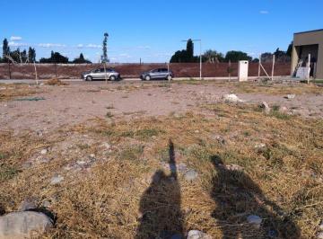 Terreno · 300m² · Lote en Barrio Lomas de Torreón